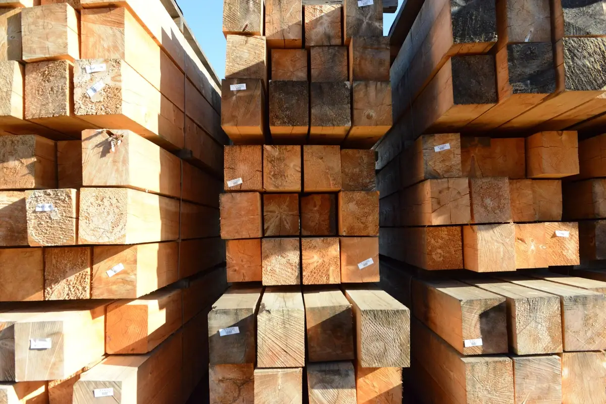 The Future of Timber Construction