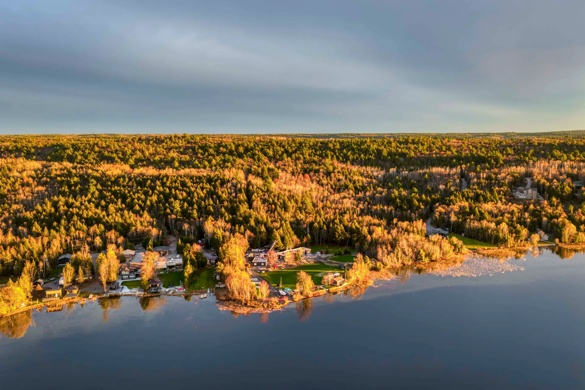 Thirdgen timber group press release